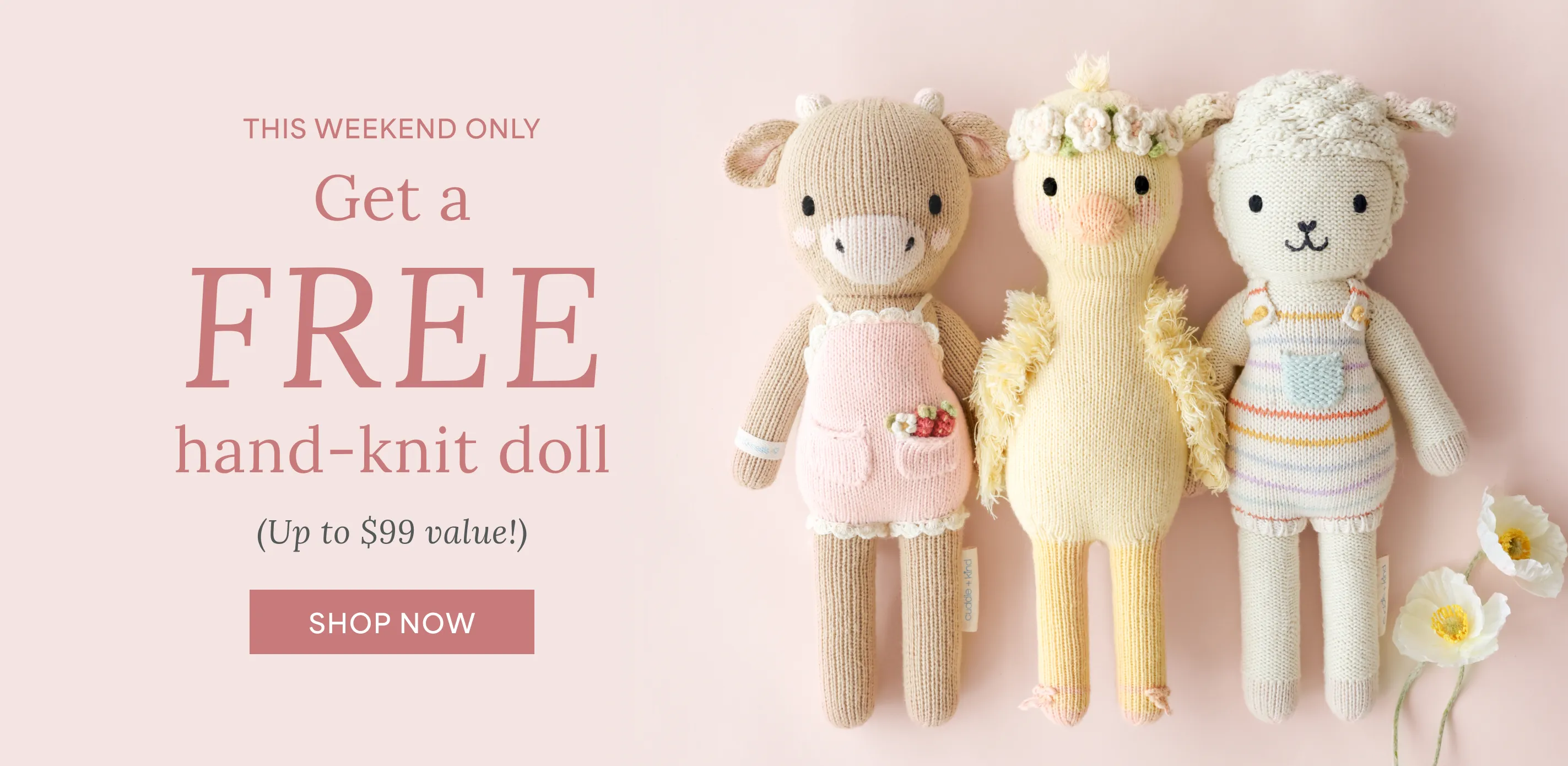 One Doll, Ten Meals Provided